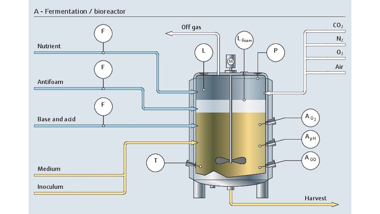 Jäsningsprocessen uppströms i en bioreaktor med alla relevanta mätpunkter