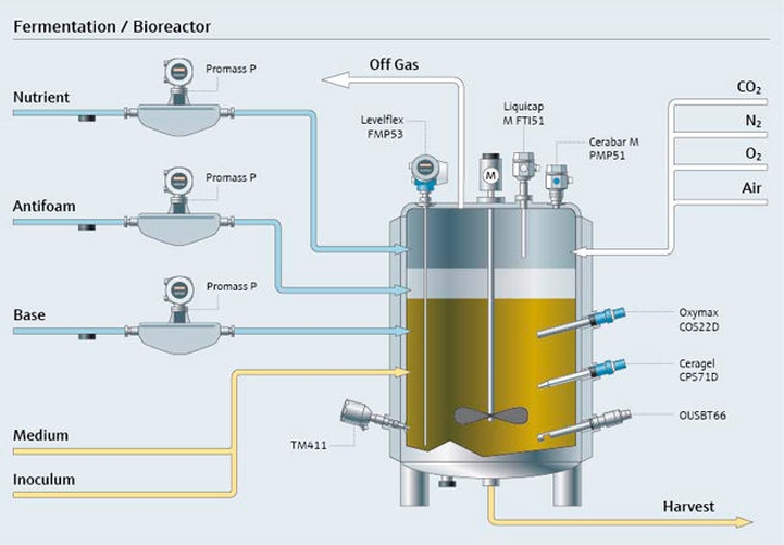 fermenteringsprocess
