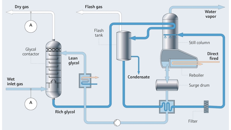 processkarta med H2O-analysator för H20-detektering från Endress+Hauser