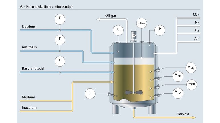 Jäsning i en bioreaktor och den relaterade mätpunkten